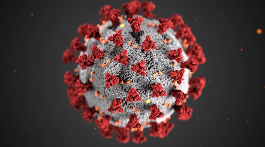 Plague pandemic in 2026?
