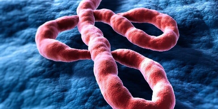 Will India have an Ebola case in 2026?